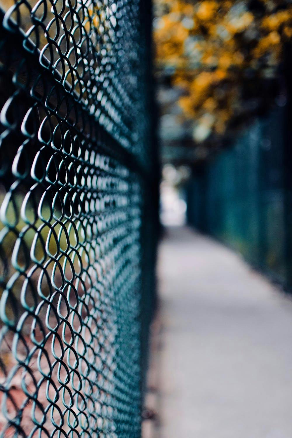 Everything You Need to Know About Security Fences