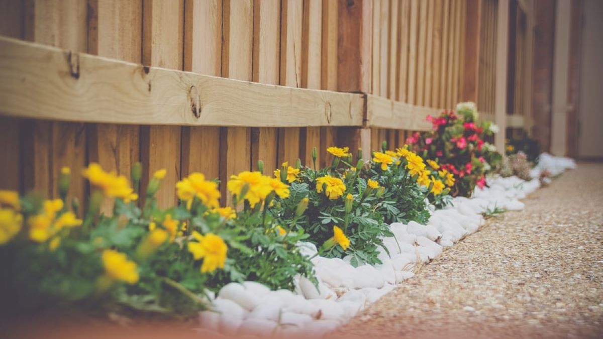 front yard landscaping