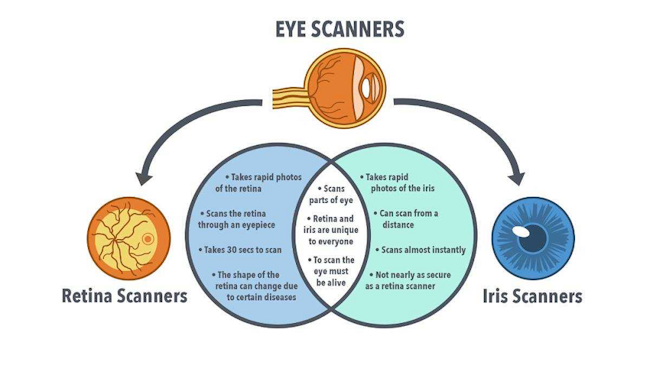 info-graphic of retina and iris scanners
