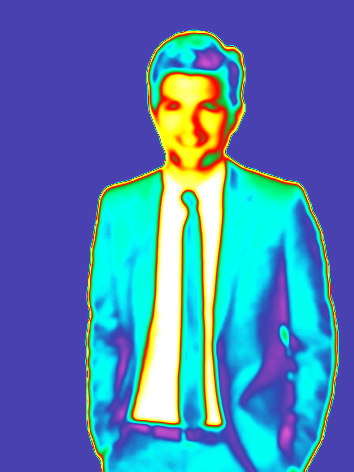 Image of a man as a motion detector with PIR sensor would see him.