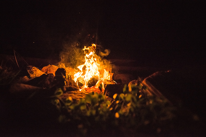 Small campfire burning logs and rocks surrounding it.