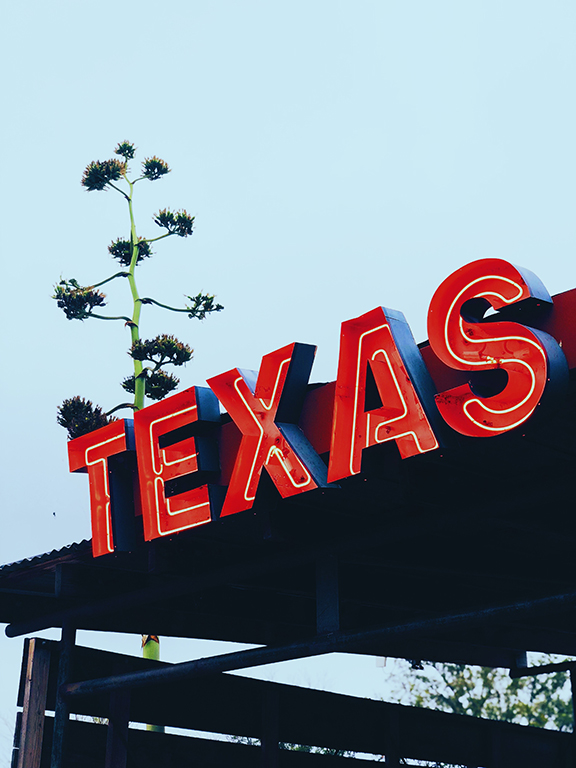 Texas light up sign with tree in the background.