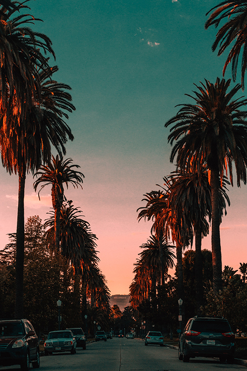 palm trees line a street in West Hollywood California at sunset.