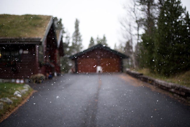 Blurry photo of a long driveway as snow begins to fall.