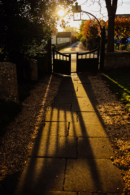 Gate at the end of a long driveway in fall.