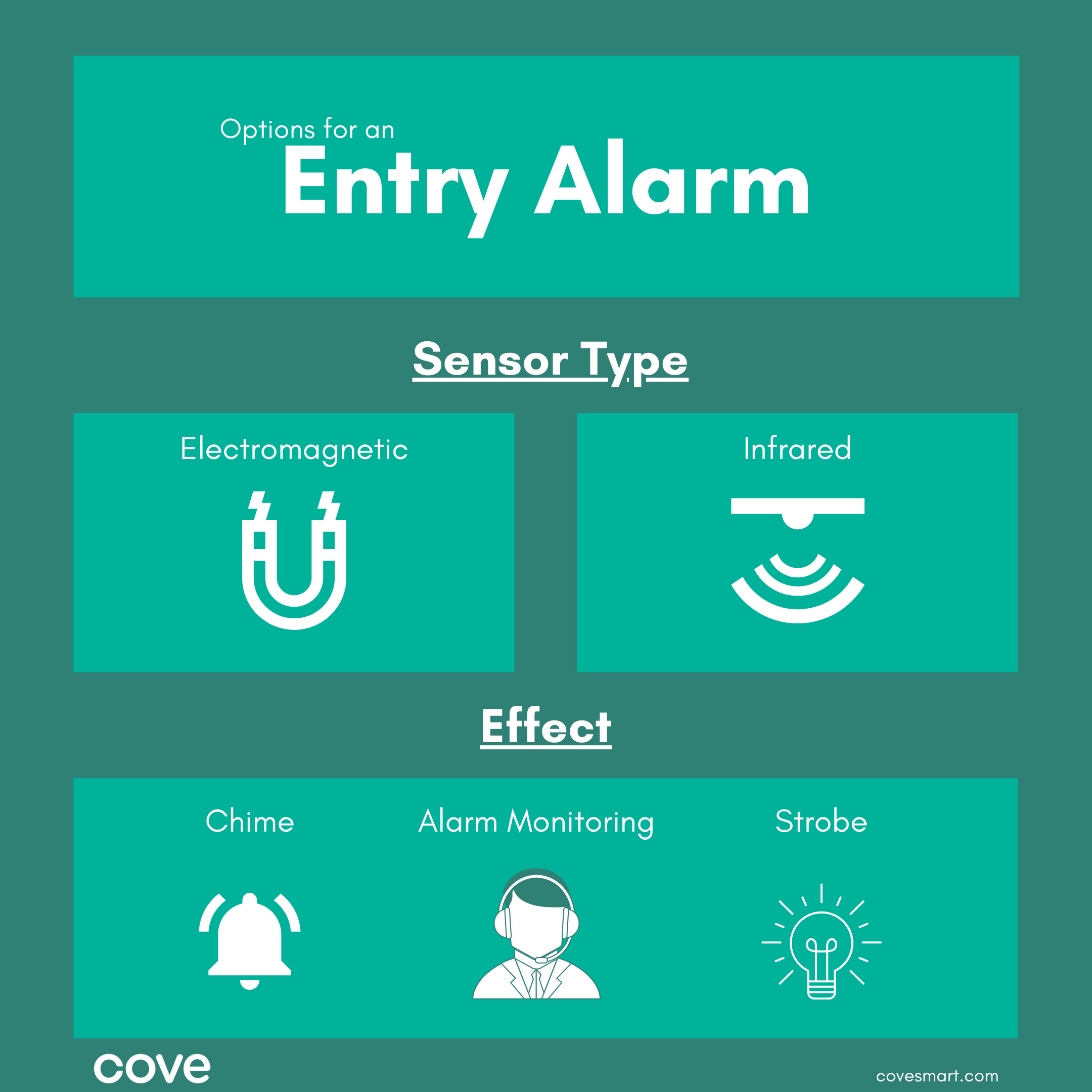 Infographic: Options for an Entry Alarm