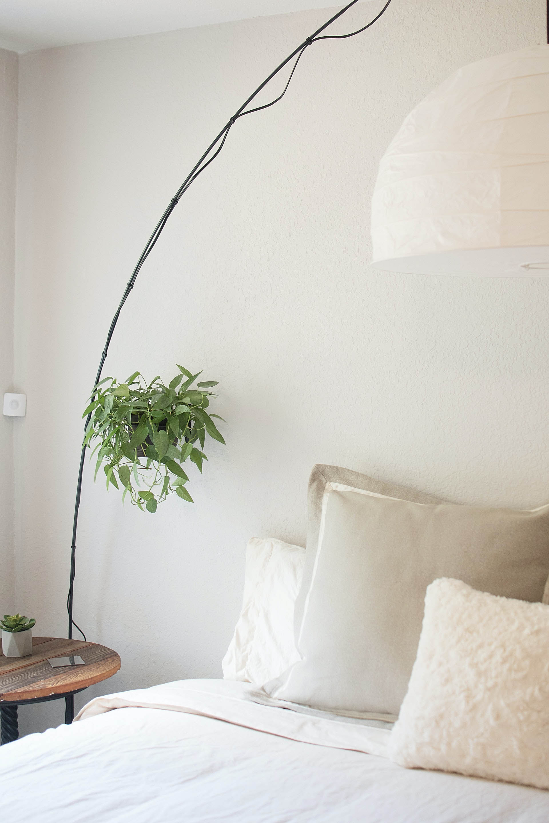 A bed with white blankets, an lamp above, and a plant next to it