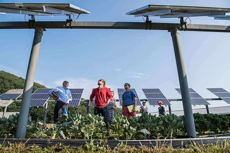 Several scientists looking up at solar panels. Solar panels are one way to slow global warming.