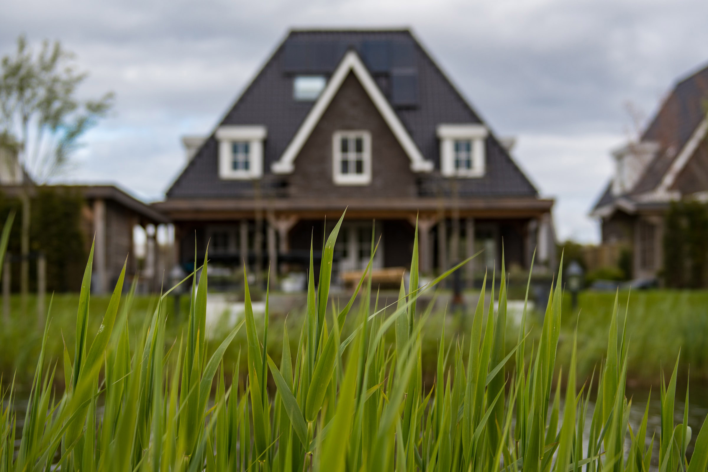 a brown house with focus on the blades of grass in the foreground