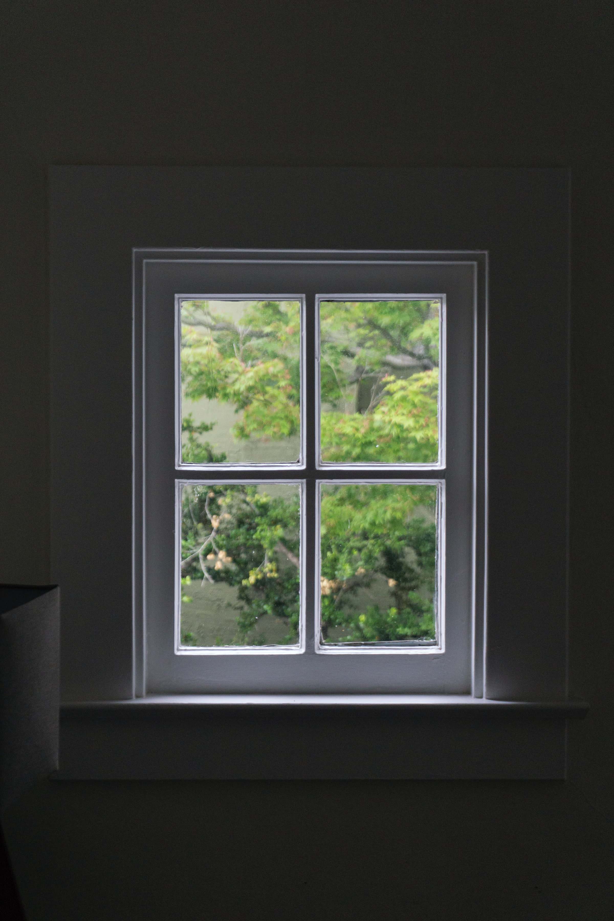 A white window that reveals a tree and concrete wall