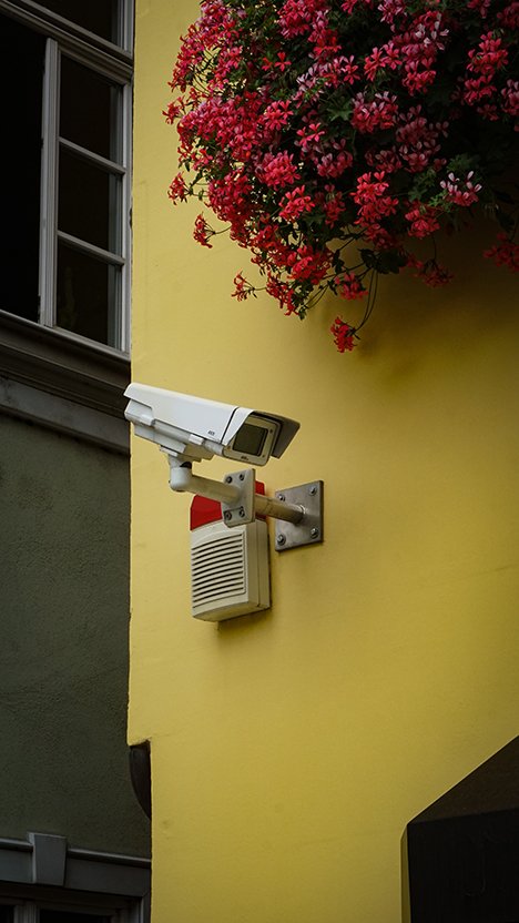 Outdoor Camera on Yellow Wall with flowers