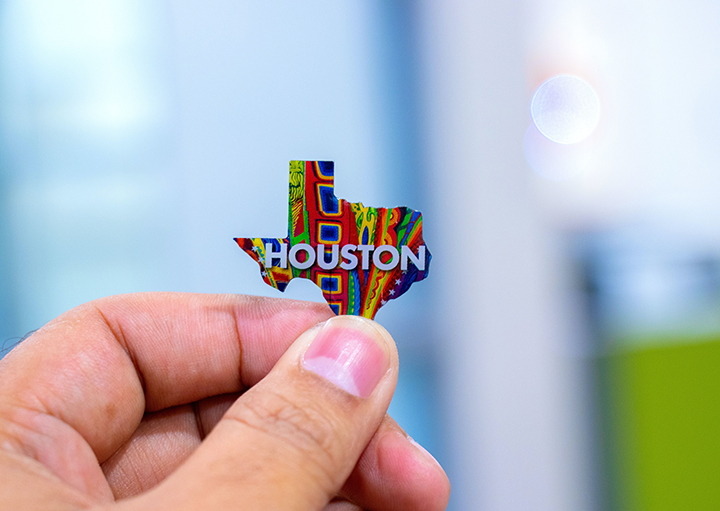 Houston Texas Pin