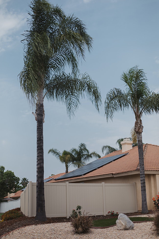 House with Vivint Solar Panels on the red roof. two palm trees.