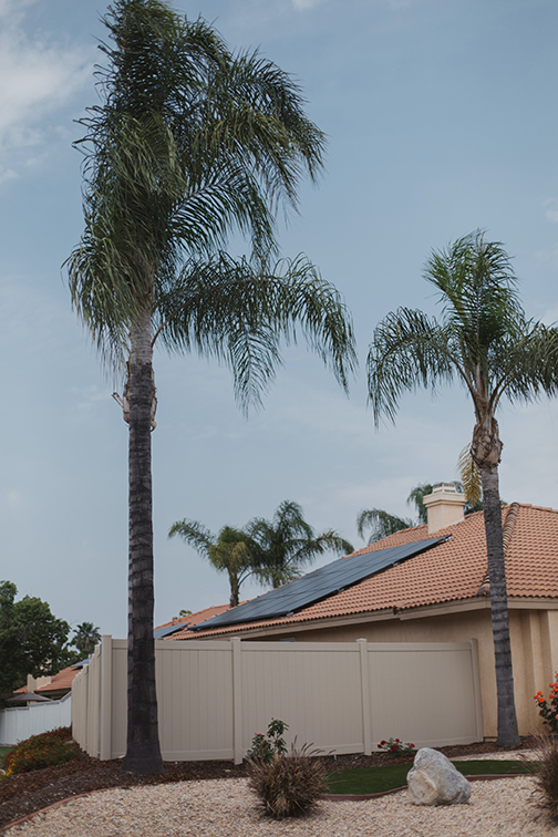 House with Vivint Solar Panels on the red roof. two palm trees.