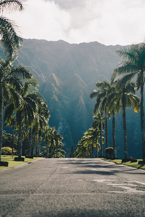Hawaiian Road