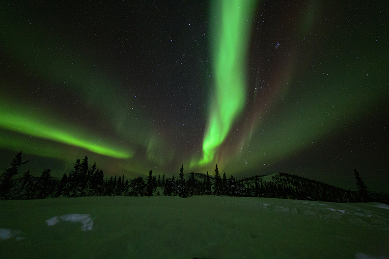 Alaskan Northern Lights