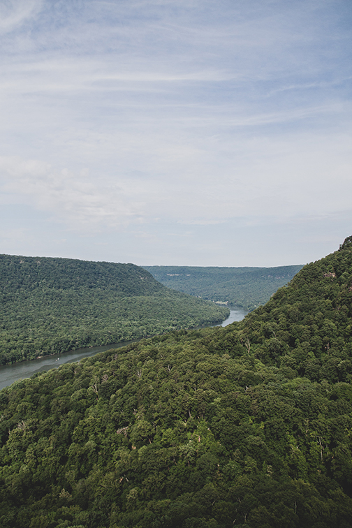 Tennessee Forest