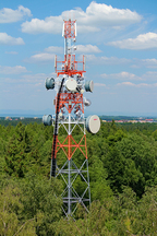 Cell tower sticking up out of a a forest