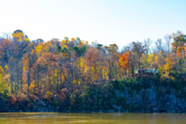 Knoxville Tennessee Forest