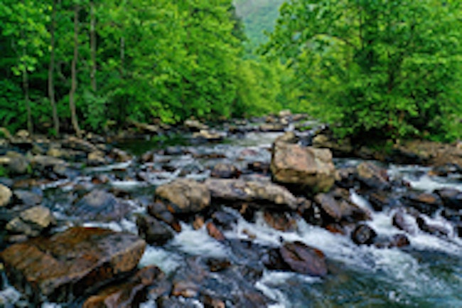 Virginia River