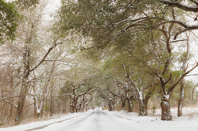 Jackson Mississippi in Winter