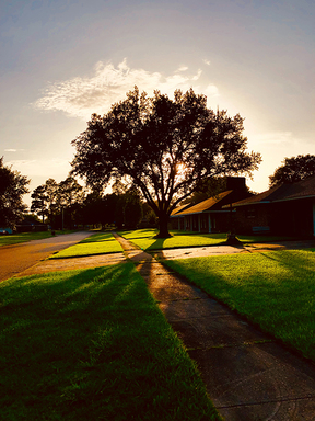 Baton Rouge neighborhood at sunset.
