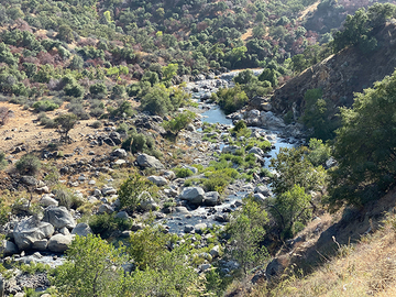 A river running through California's wilderness of shrubs, trees, and rocks.