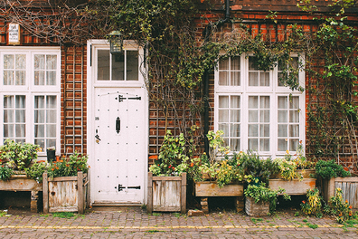 Beautiful reinforced door in a nice house with shrubs and vines growing on it.