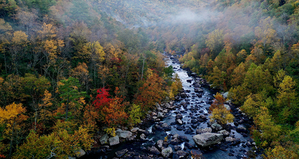 Virginian forest and river running through it.