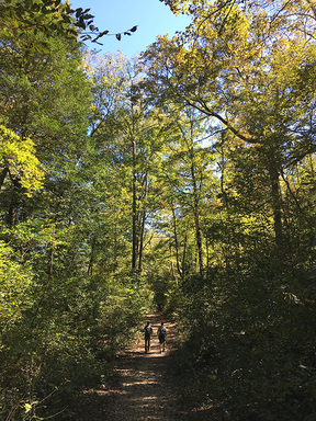 two people walking through an Oklahoma forest.