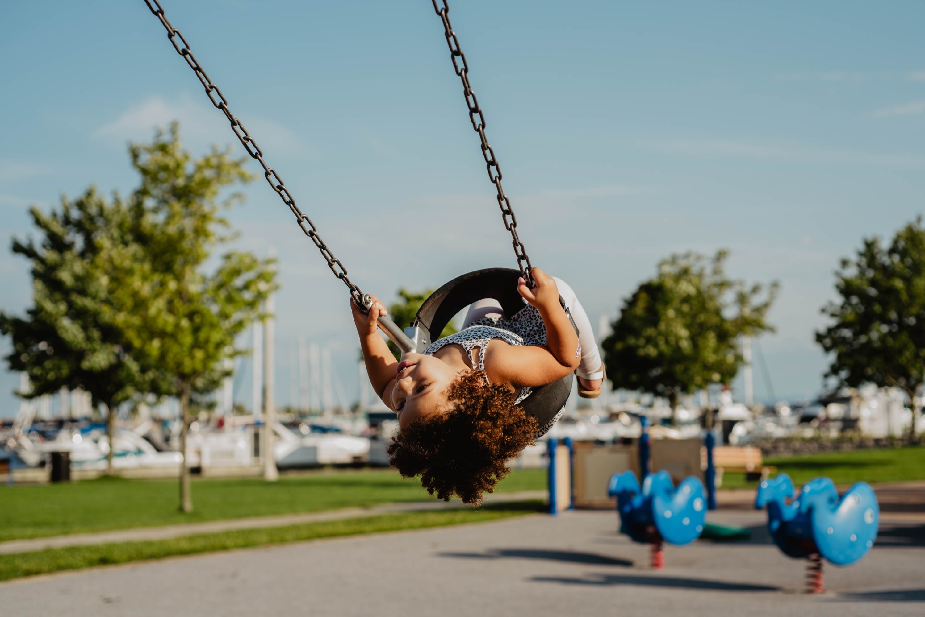 A child in a swing.