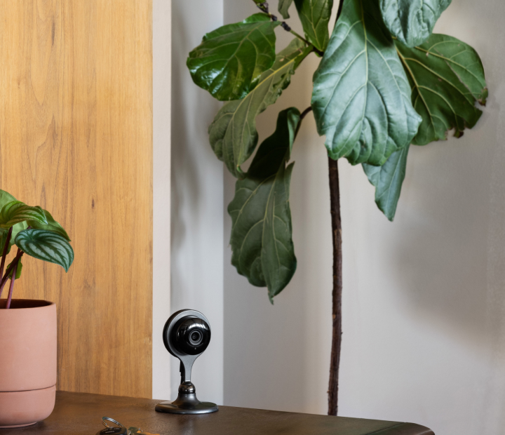 cove indoor camera on desk near indoor plants