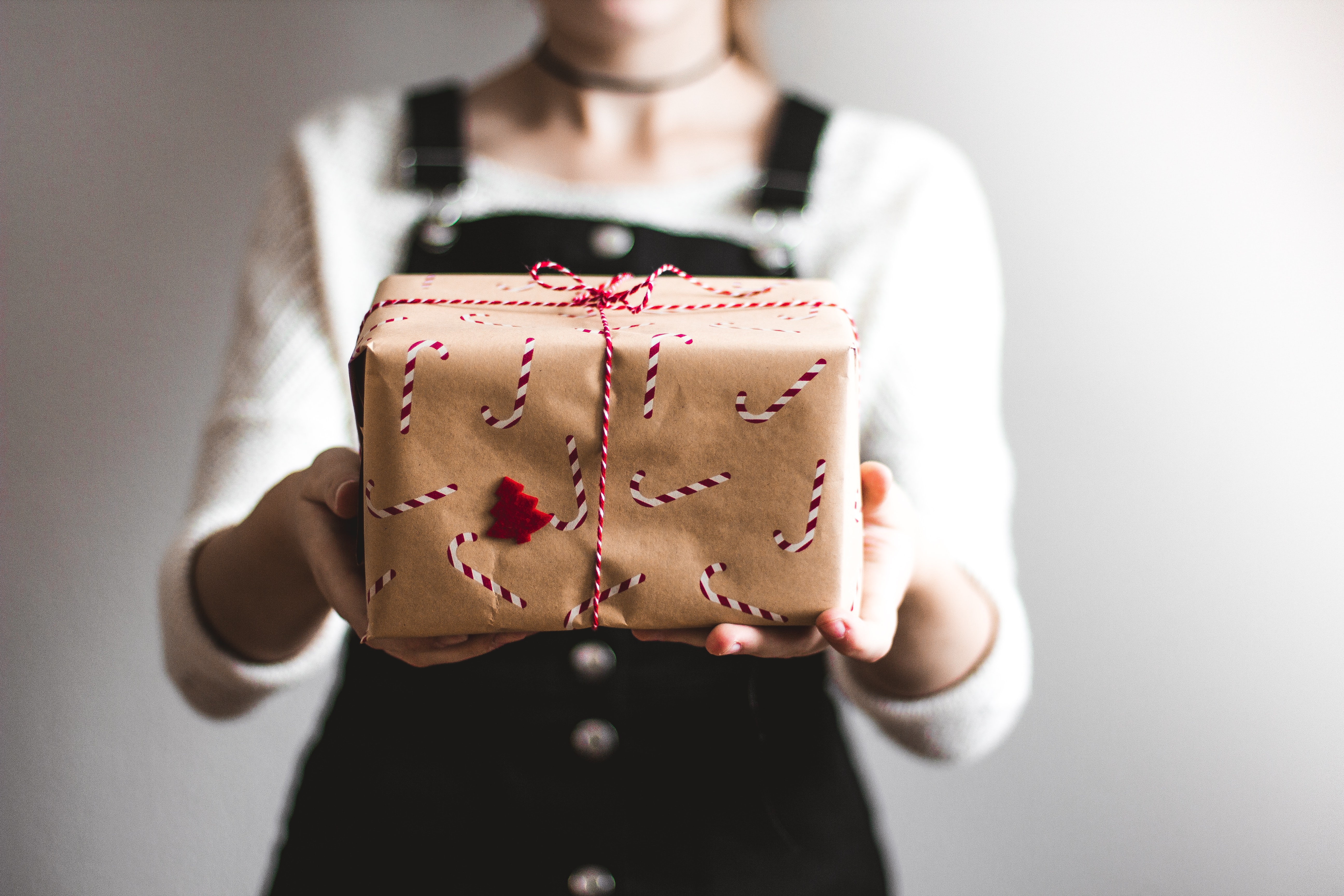 Holiday Packages by Kira Auf Der Heide