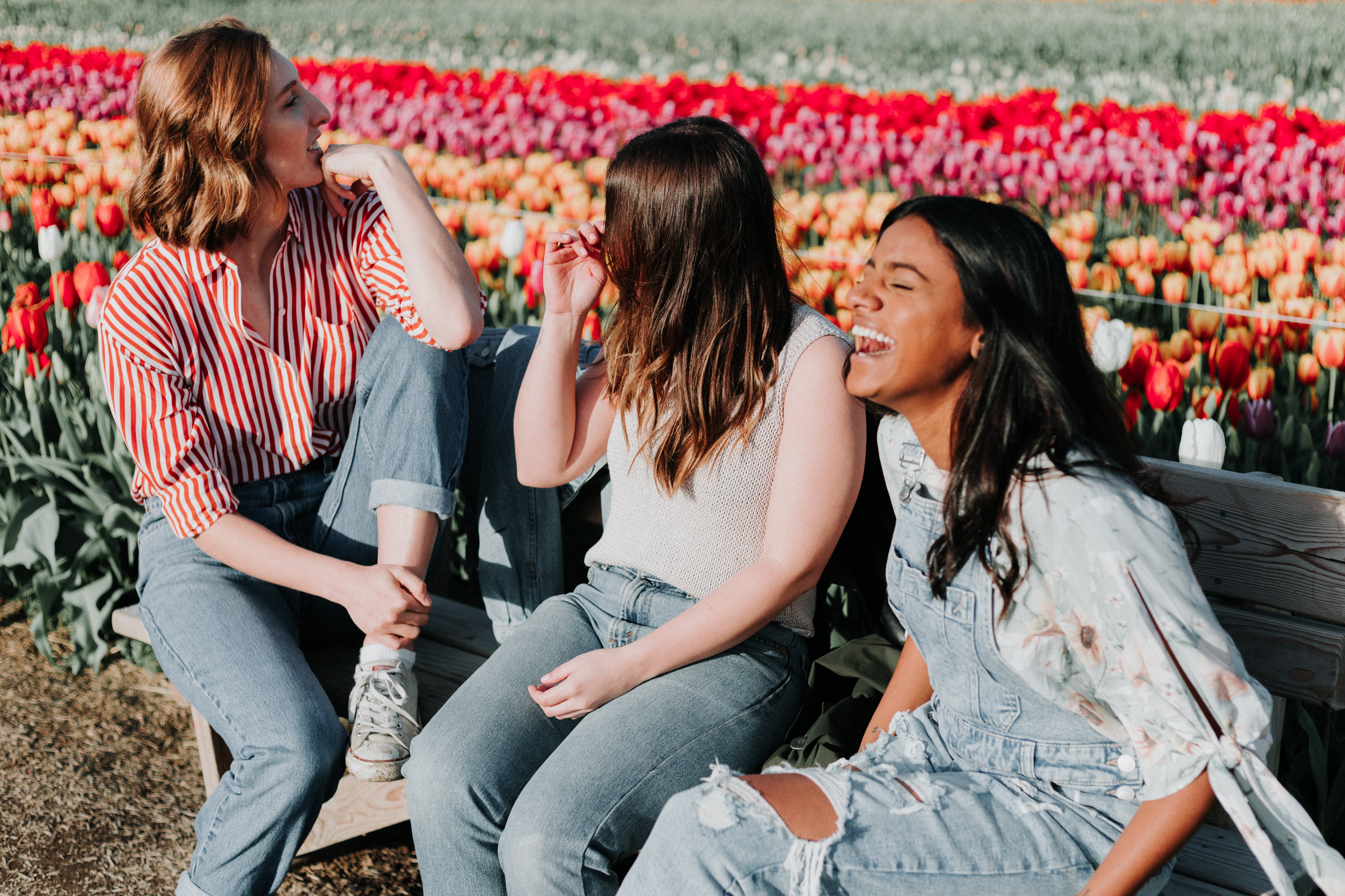Group of women friends sitting on a bench laughing in front of a red tulip field.
