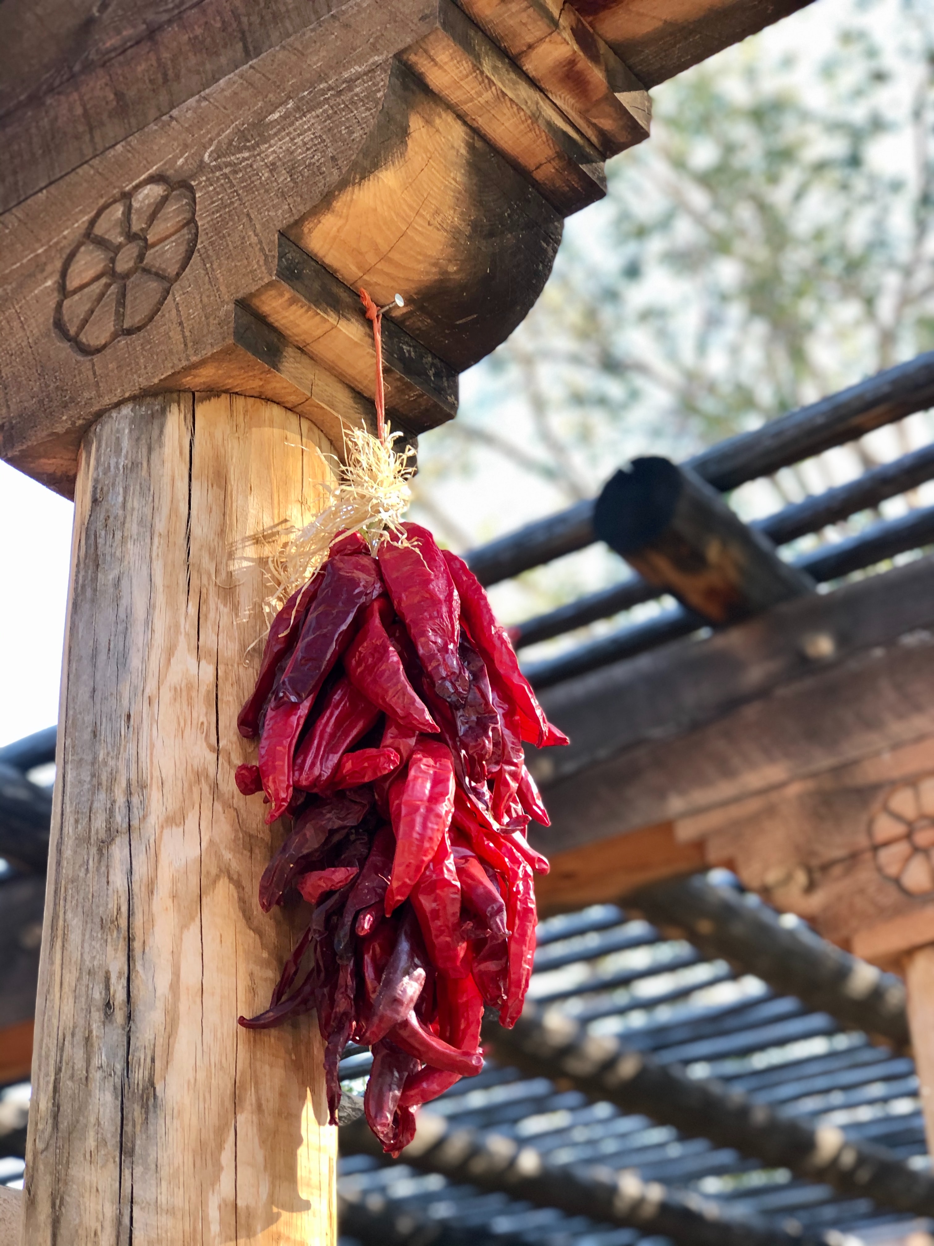 A bunch of red dried chili peppers hanging upside down tied to a rustic wood pillar.