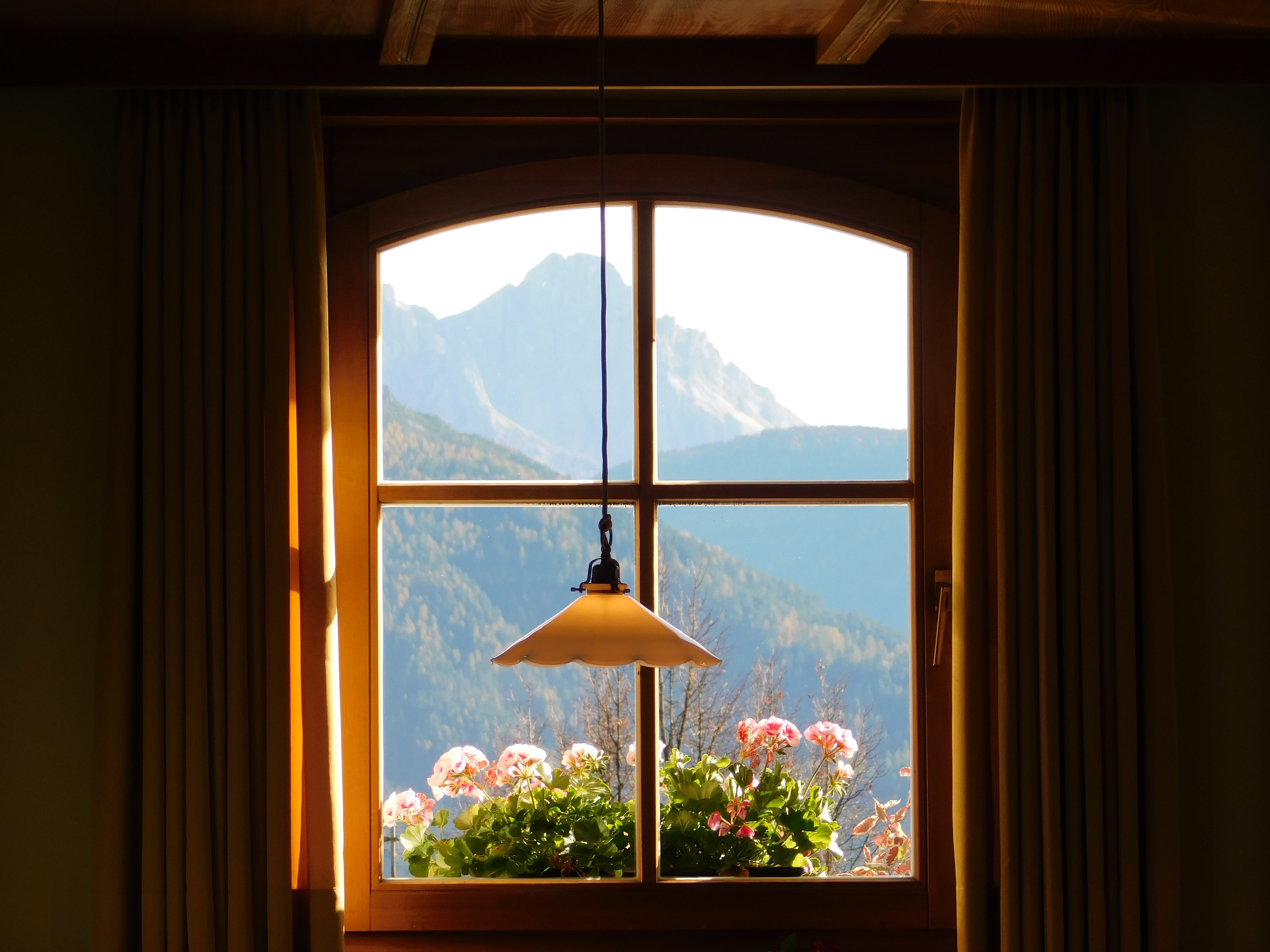 Looking through a home window with a lamp inside and flowers and a mountain outside.