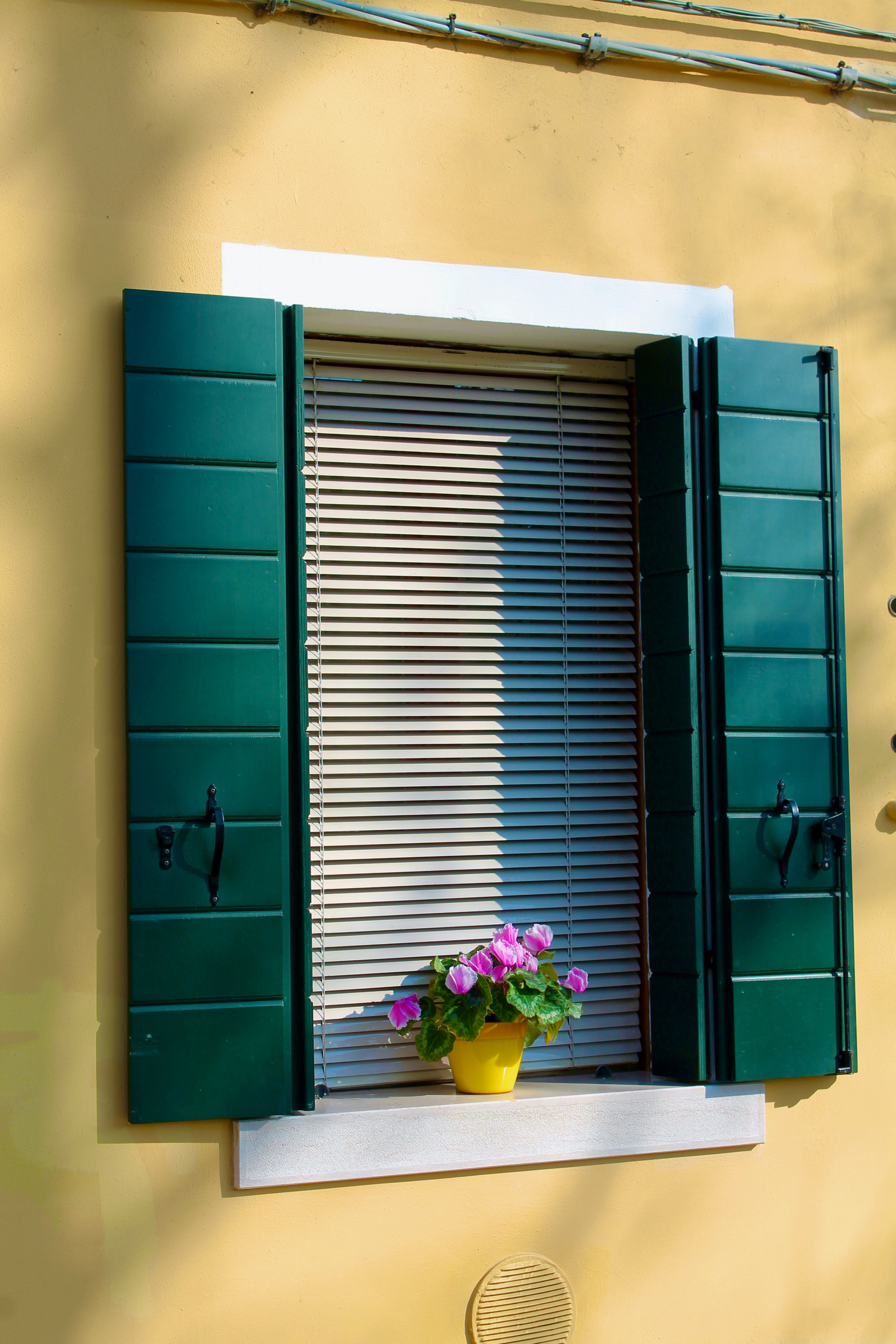 Yellow house with a window including teal shutters, white blinds, and a potted flower.