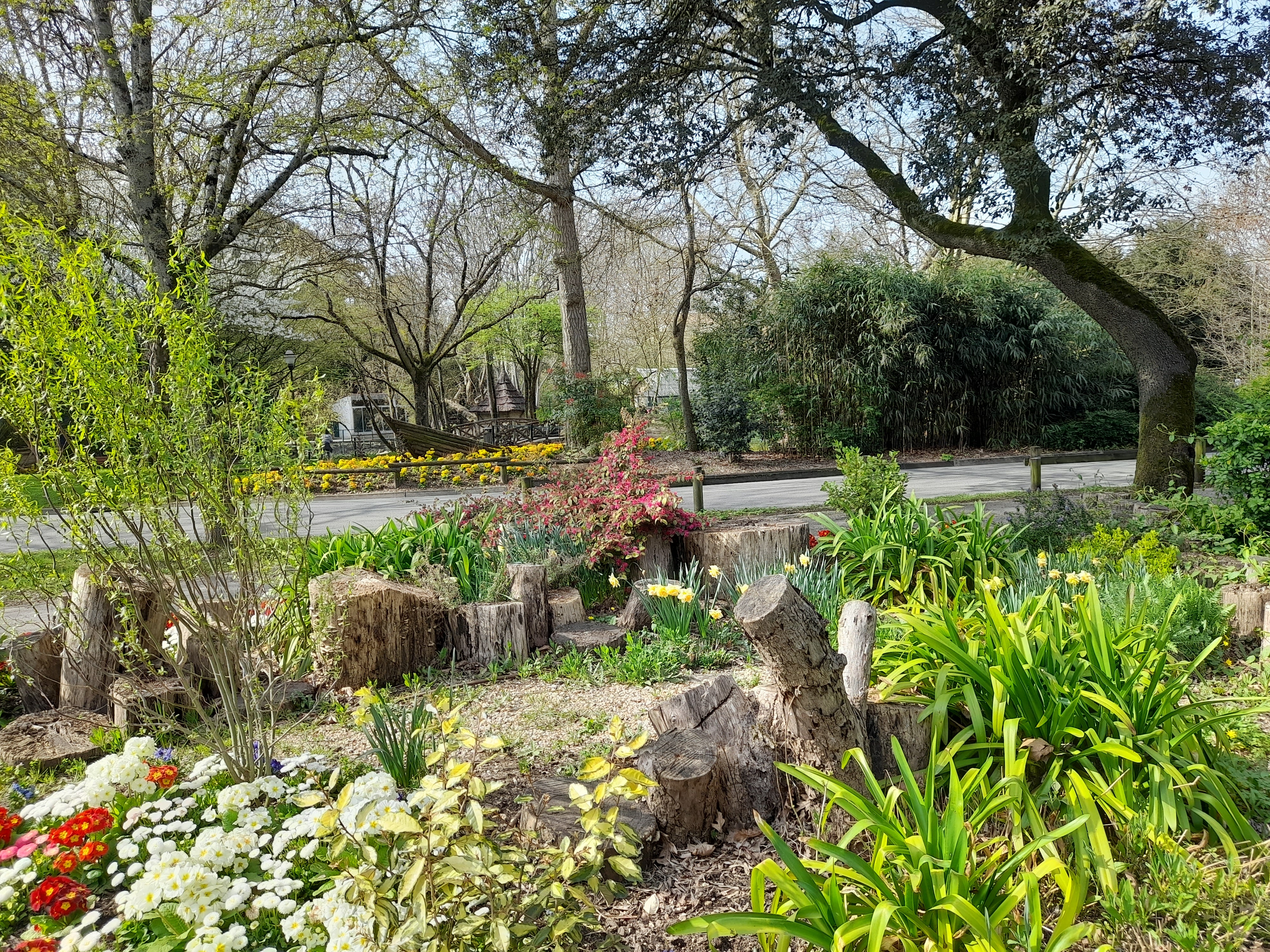 Front yard with flowers, trees, tree stumps, grass.