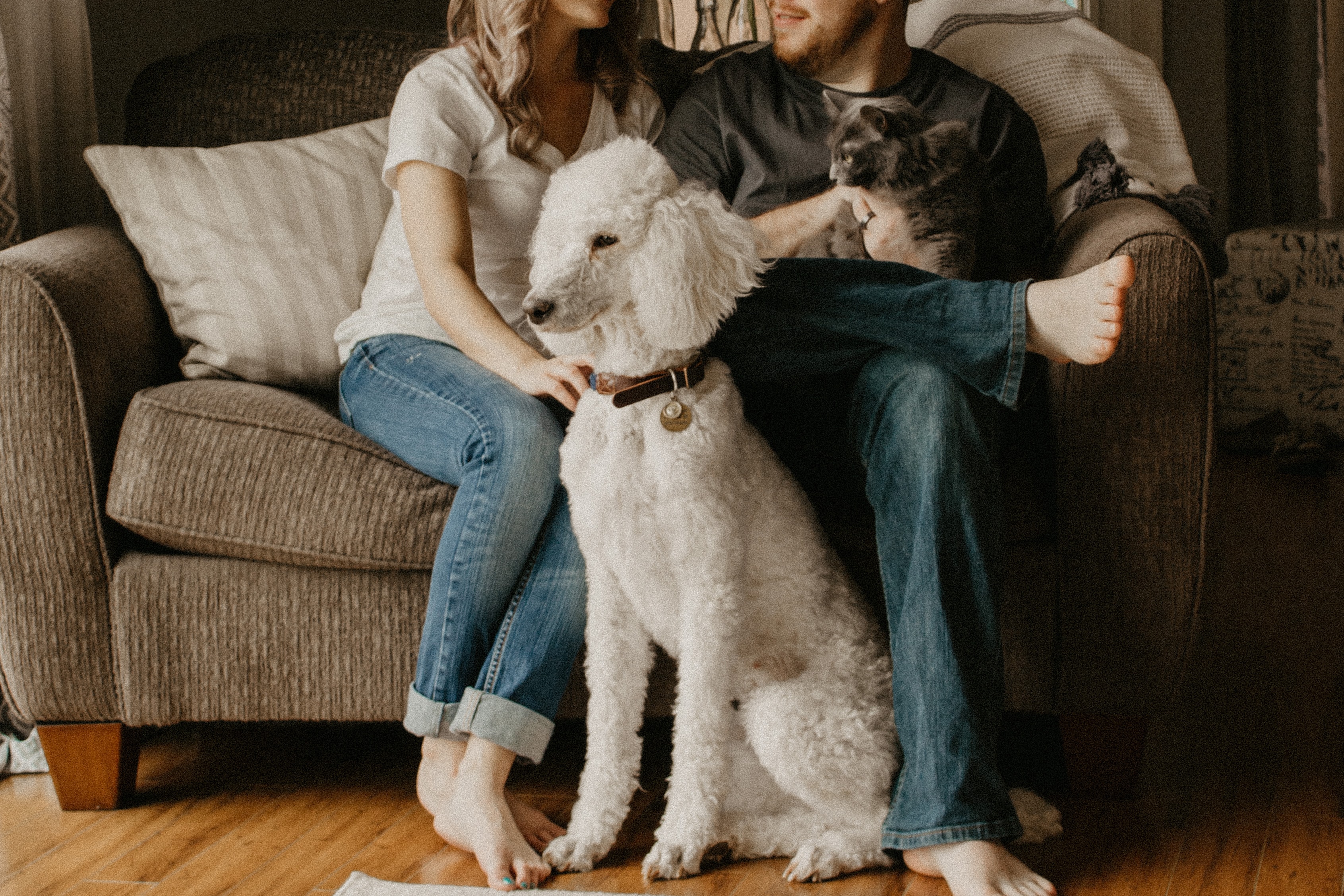 A man and woman with their cat and dog.