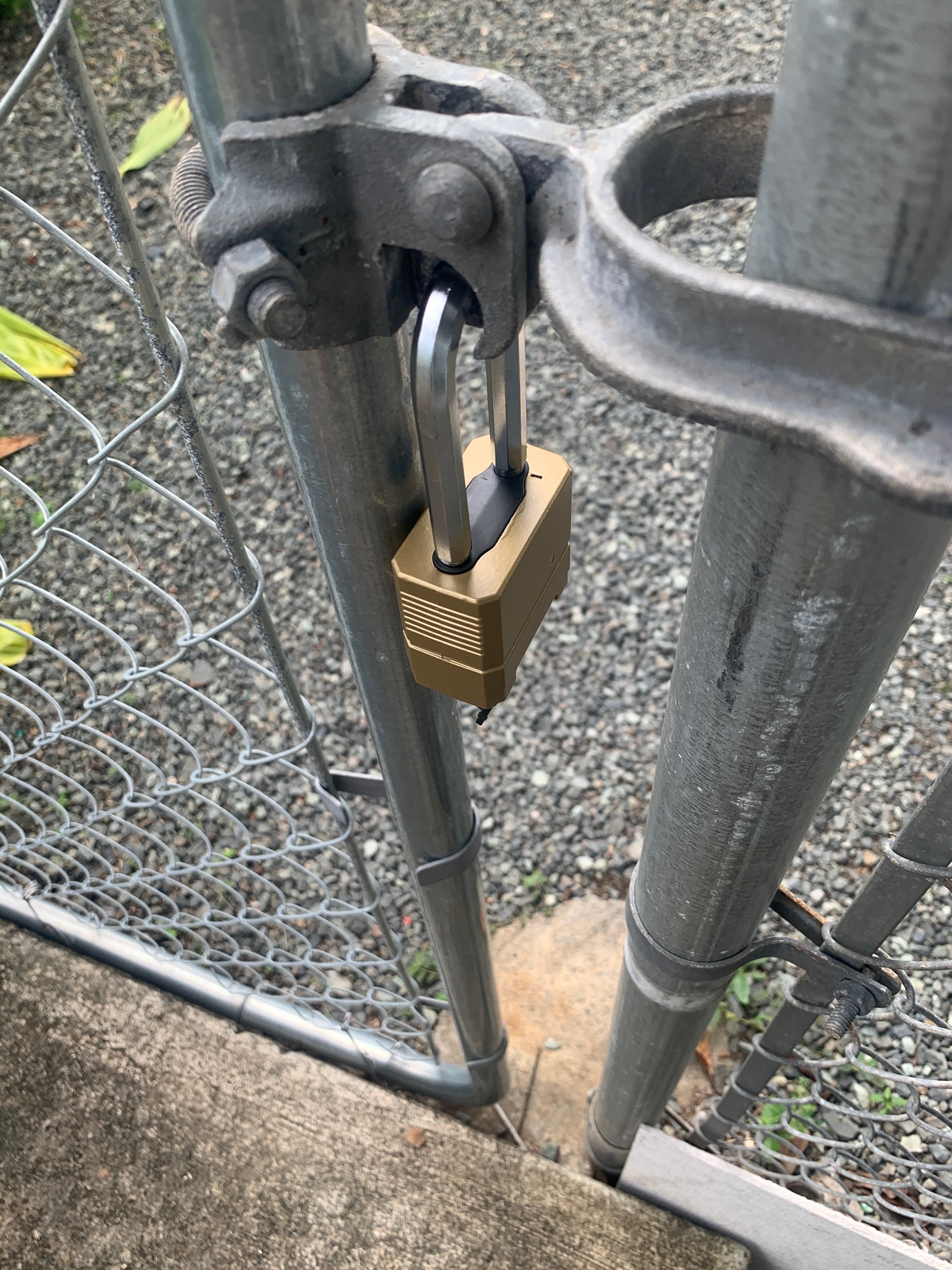 Silver gate with gold padlock