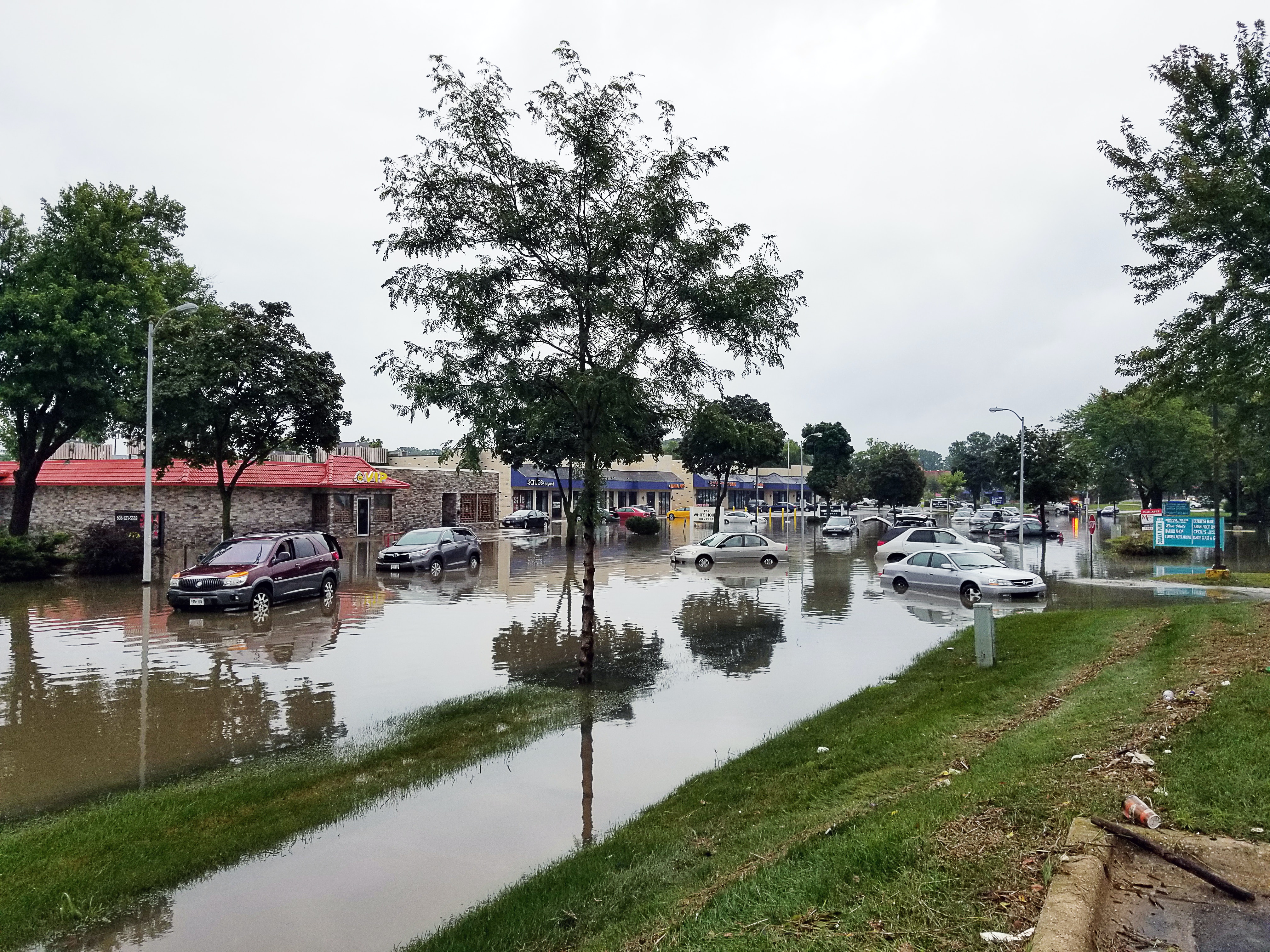 Flood waters in a neighborhood with trees, grass, cars.