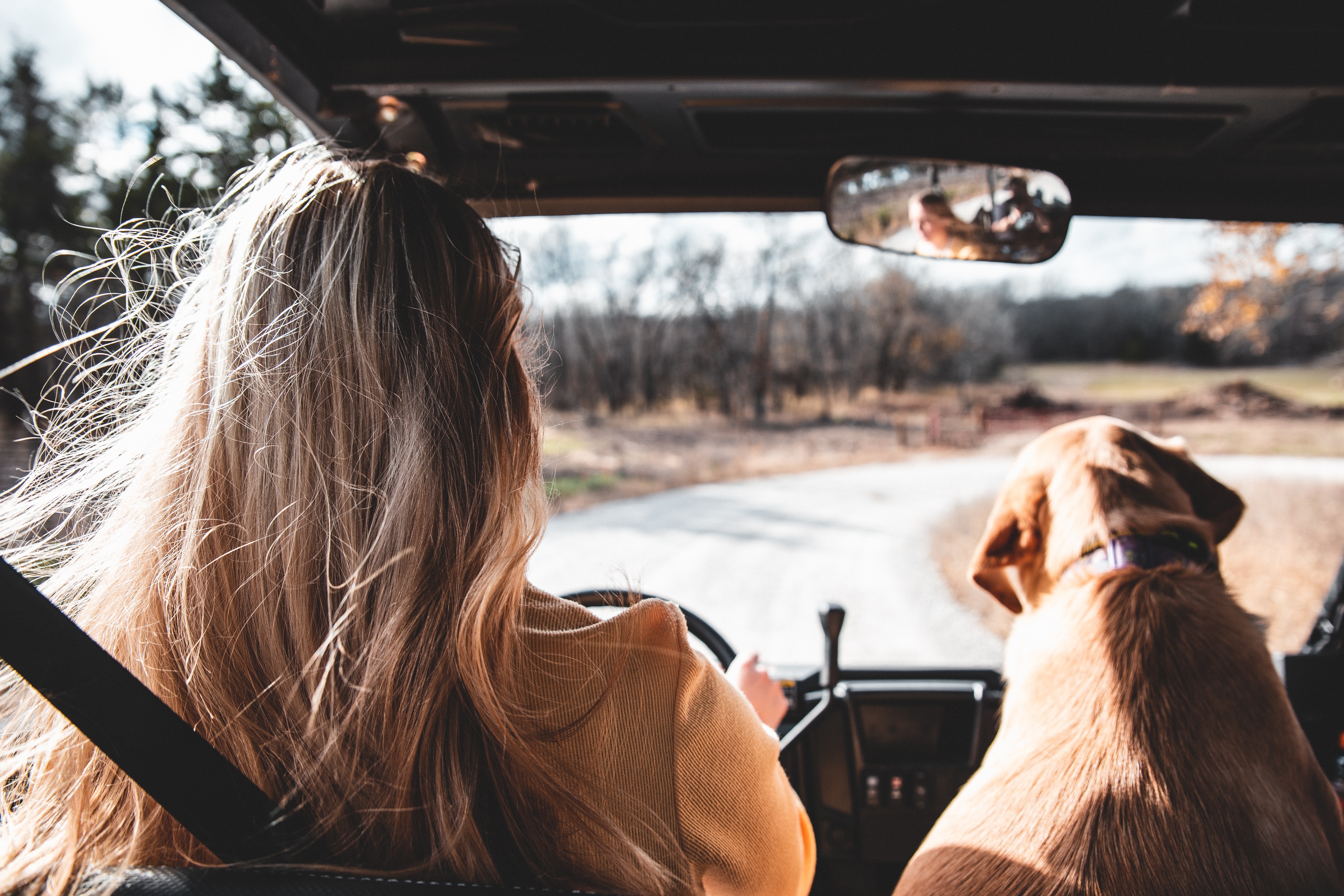 Woman driving a cat with a dog next to her in the passenger seat.