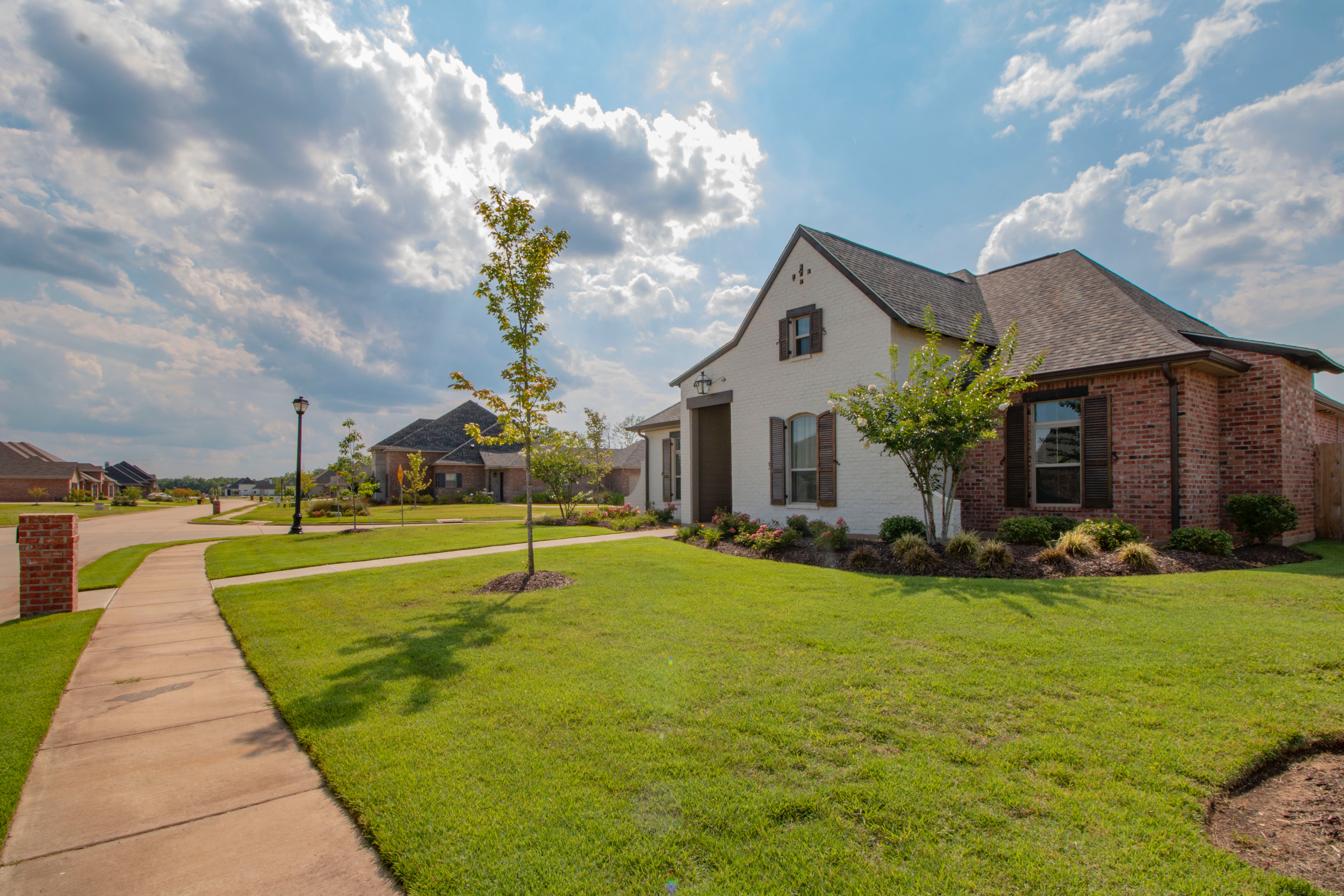New home in a neighborhood with a lawn and tree.