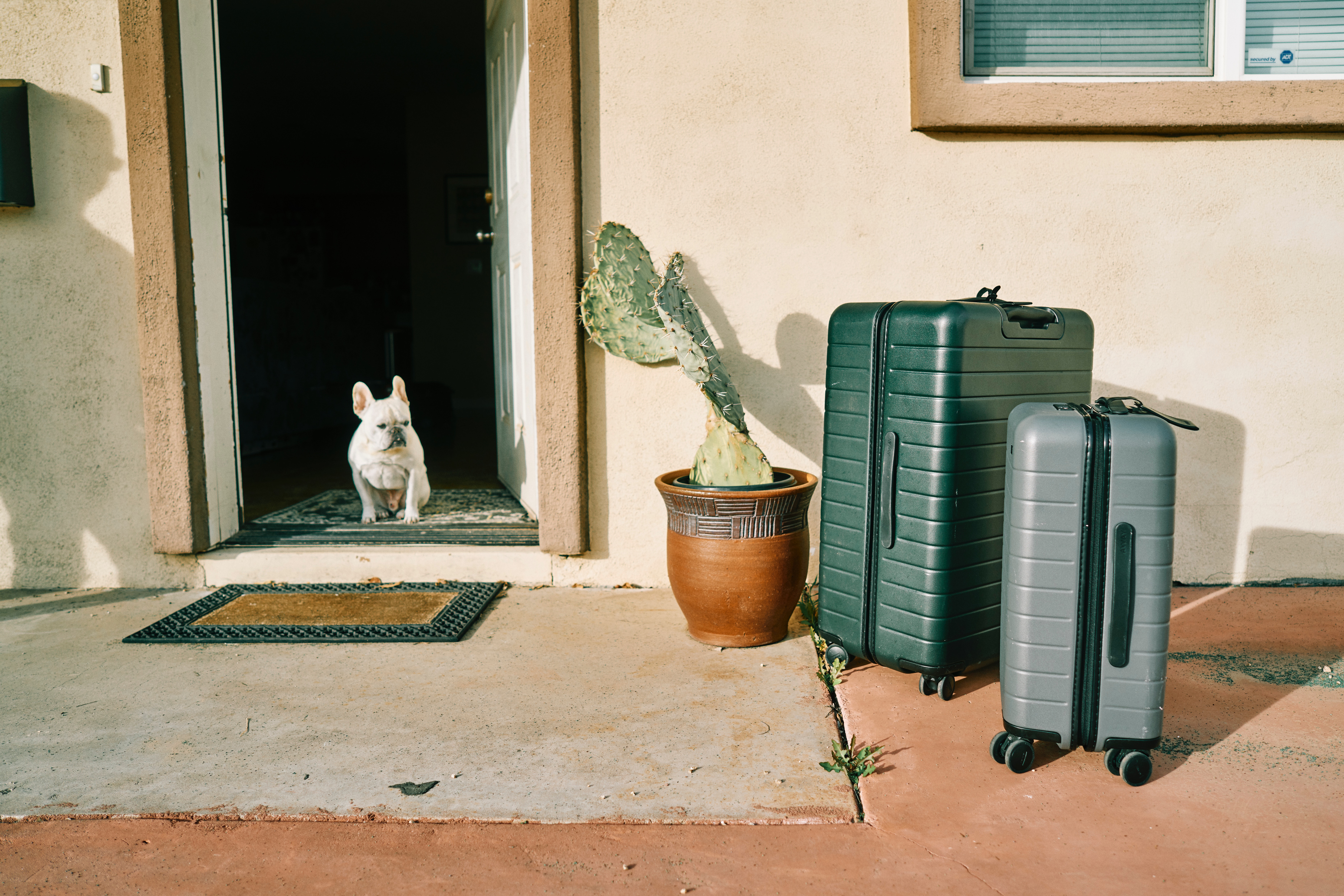 Luggage outside of a vacation home with the door open and a dog waiting.