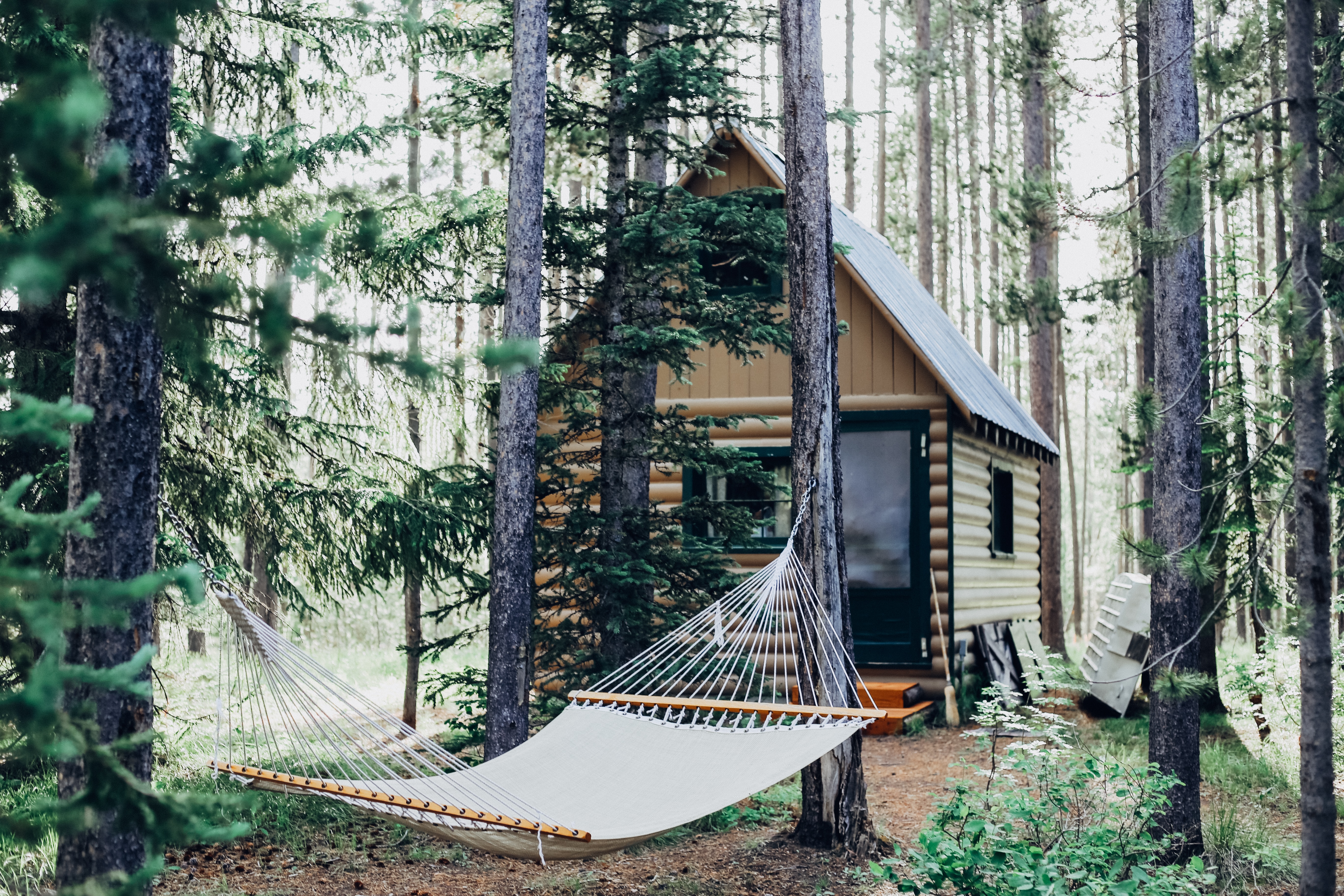 Cabin in the forest with a hammock out front.
