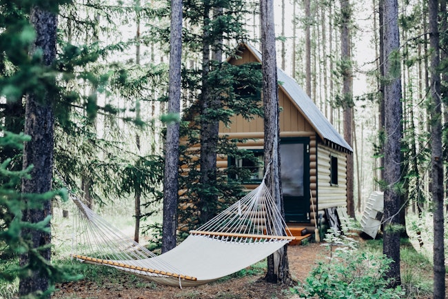 Cabin in the forest with a hammock out front.