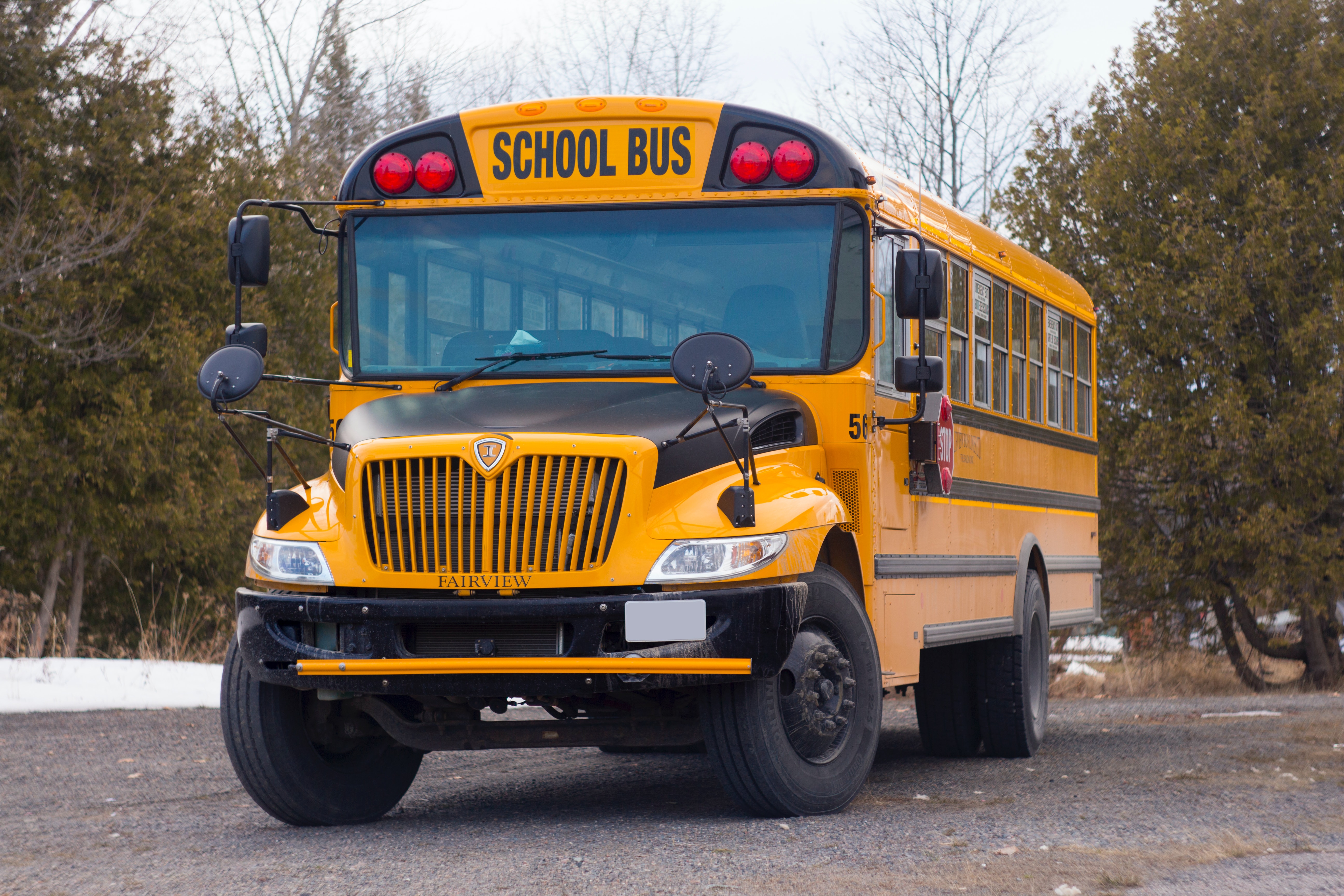 Yellow school bus parked near trees.