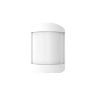 Motion Detector