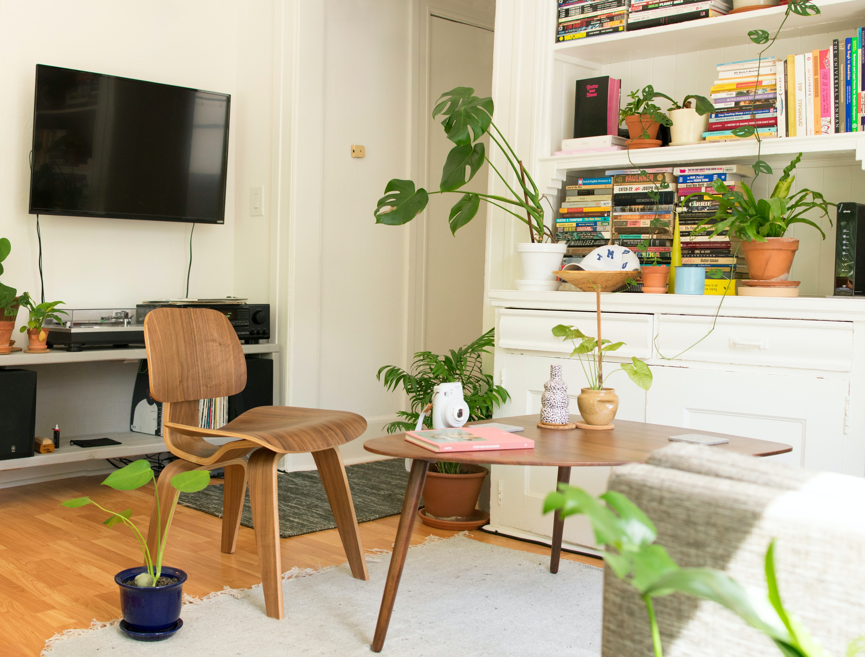 Living room in a rental apartment or home with a TV, books, plants, and furniture.