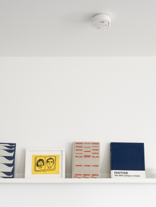 carbon monoxide detector
